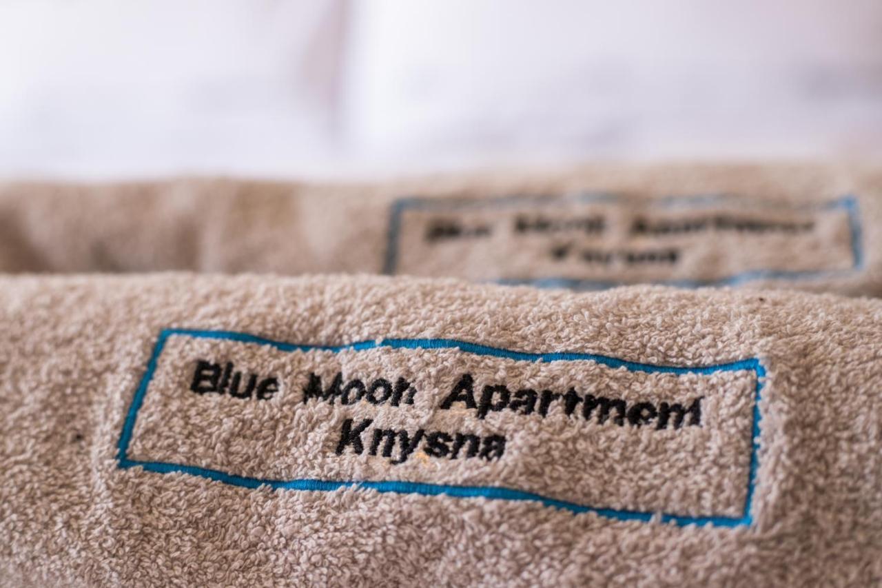 Blue Moon Apartments Knysna Exteriör bild